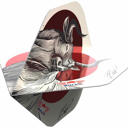Bull's Design 100 Rising Bull No.2 Flights