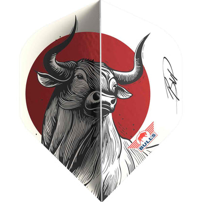 Bull's Design 100 Rising Bull No.2 Flights