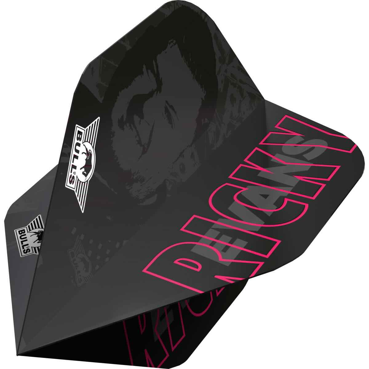 Bull's Player 100 Ricky Evans No.2 – Vue Dynamique - Darts180